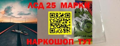 СК Кингисепп