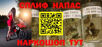 СК Кингисепп