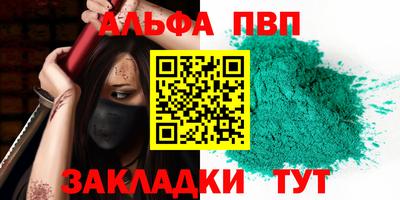 СК Кингисепп