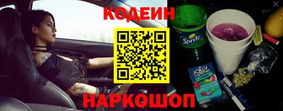 СК Кингисепп