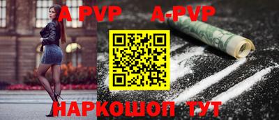 СК Кингисепп