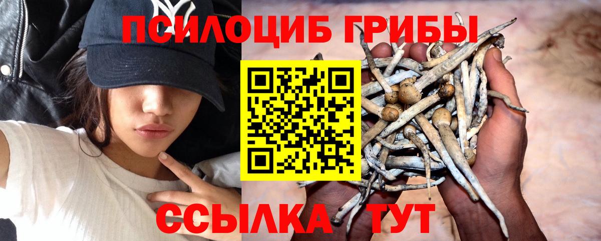 Котовск  Галлюциногенные грибы MAGIC MUSHROOMS  Вход с VPN  Галлюциногенные грибы Psilocybine cubensis 